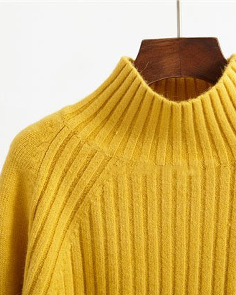 Jumper with turtleneck