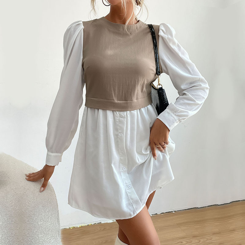 Dress with turtleneck and puff sleeves