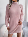 Knitted turtleneck dress