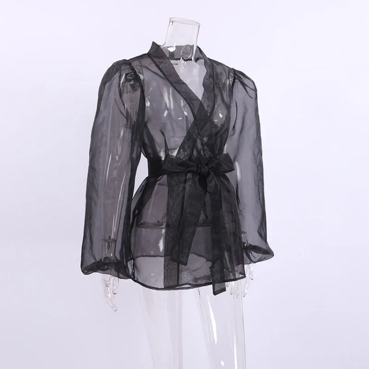 Translucent Organza blouse