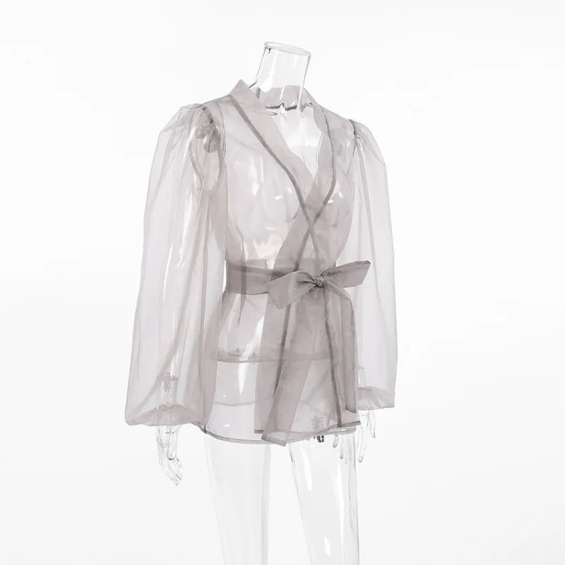 Translucent Organza blouse