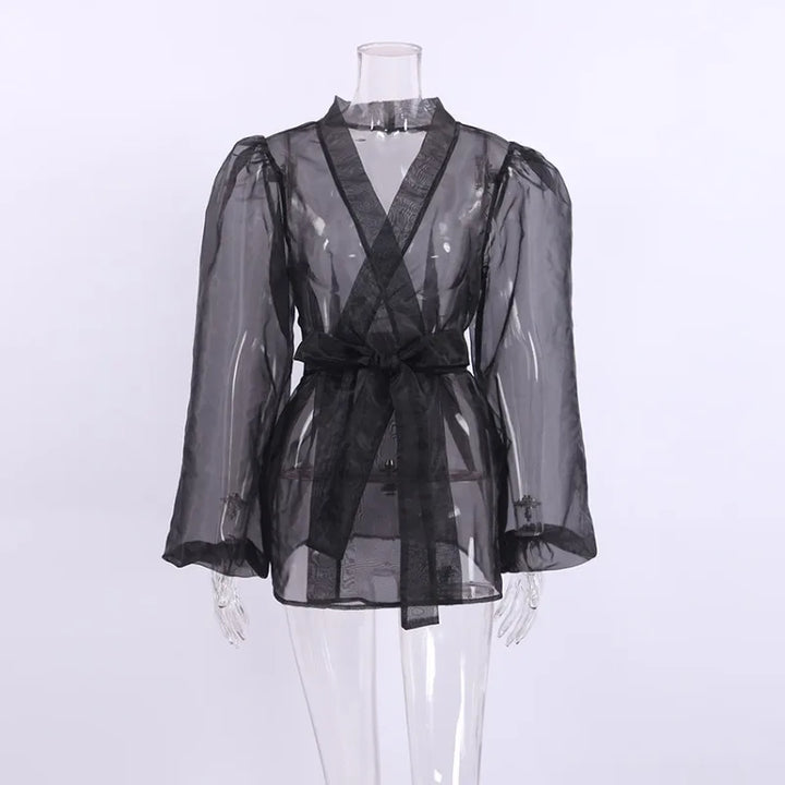 Translucent Organza blouse