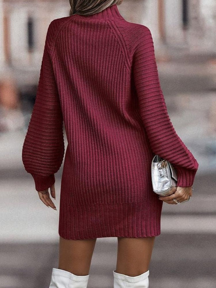 Dress with turtleneck