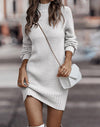 Dress with turtleneck