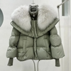 Luxury winter jacket