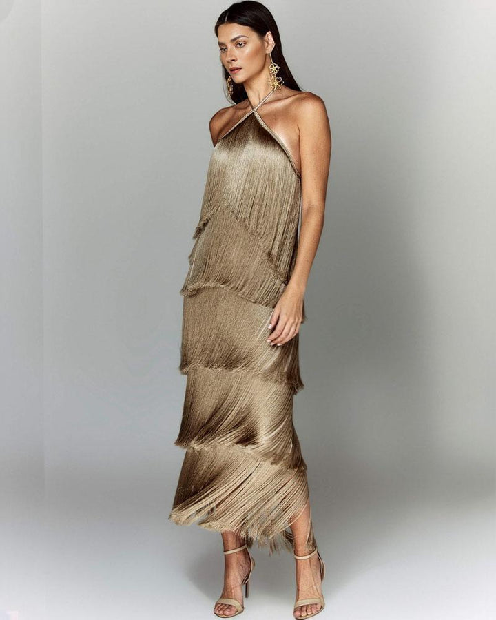 Elegant stylish dress with fringes