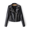 Ladies stylish motor jacket