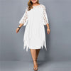 Fashionable midi dress in plus sizes